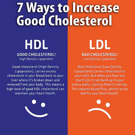 What Increases Good Cholesterol